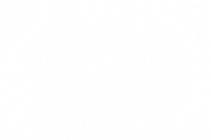 OFFICIAL SELECTION - REGAIN FILM FESTIVAL - 2025 copie 2